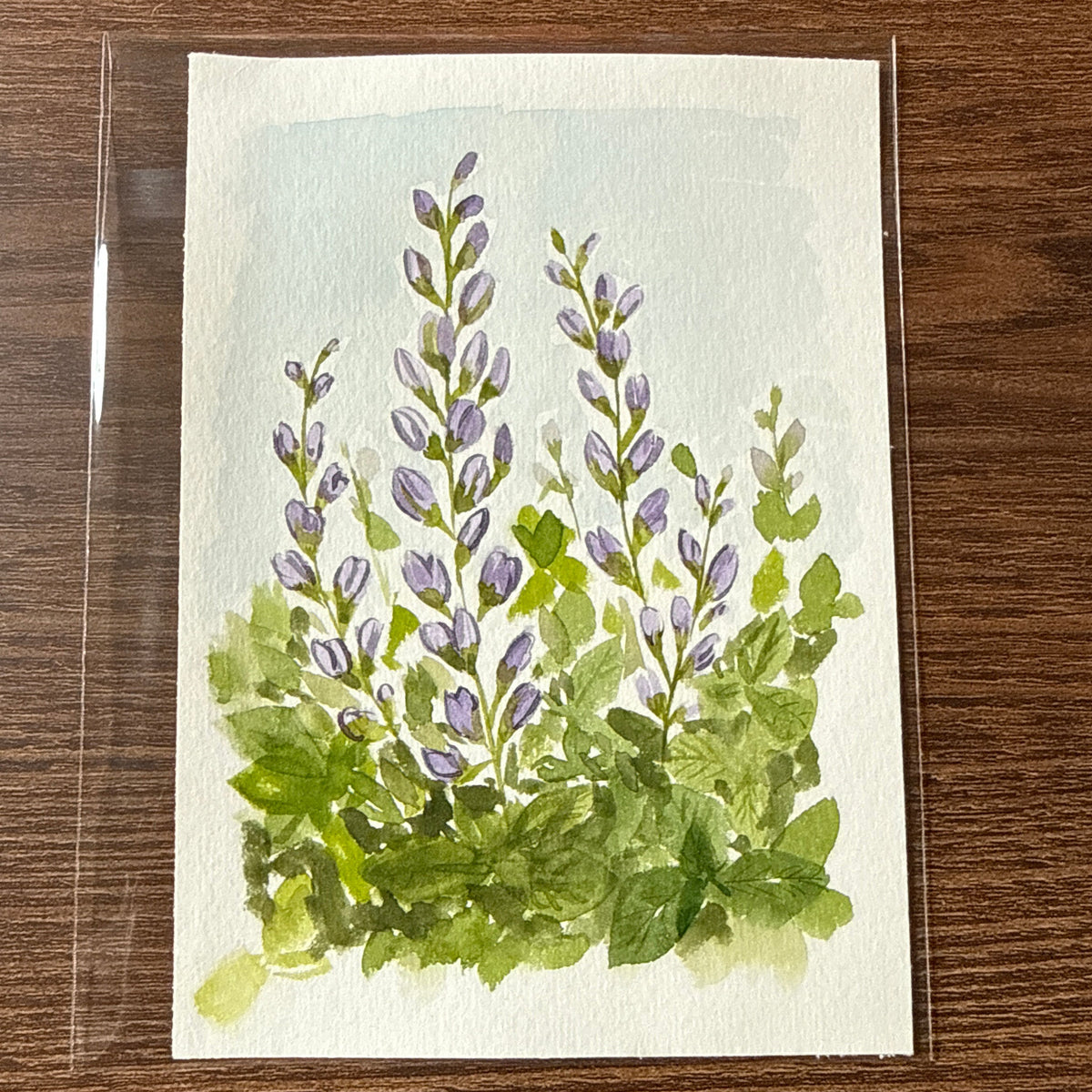 False Indigo