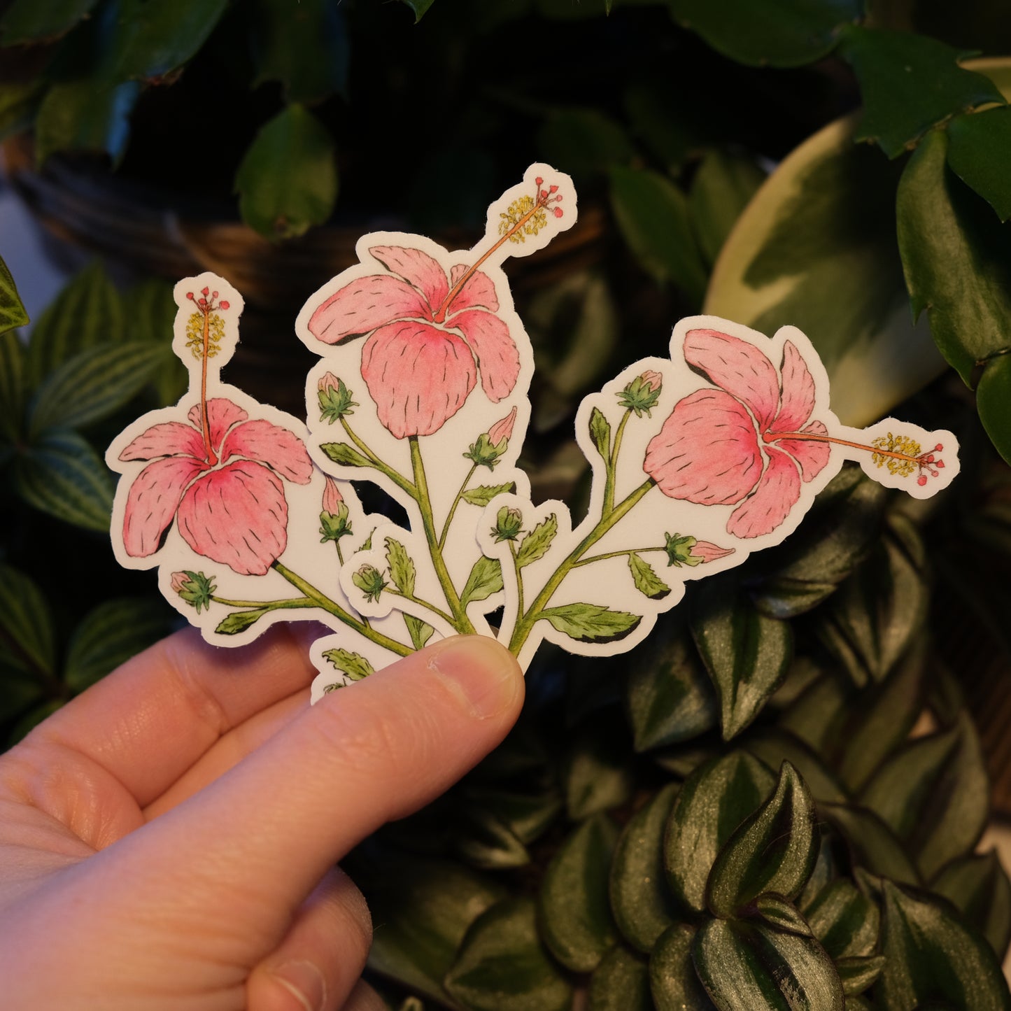 Hibiscus Sticker