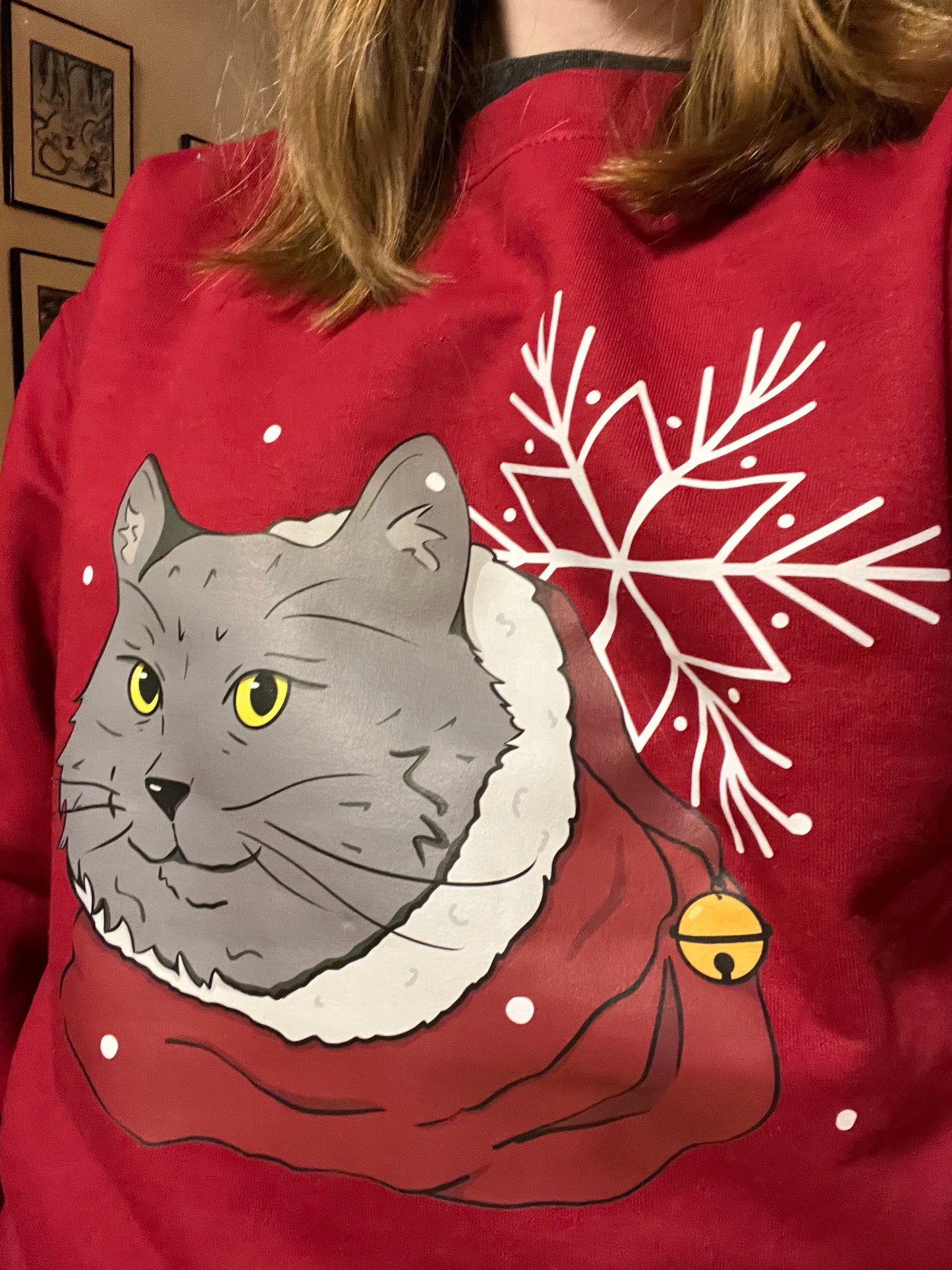Pull chat de Noël