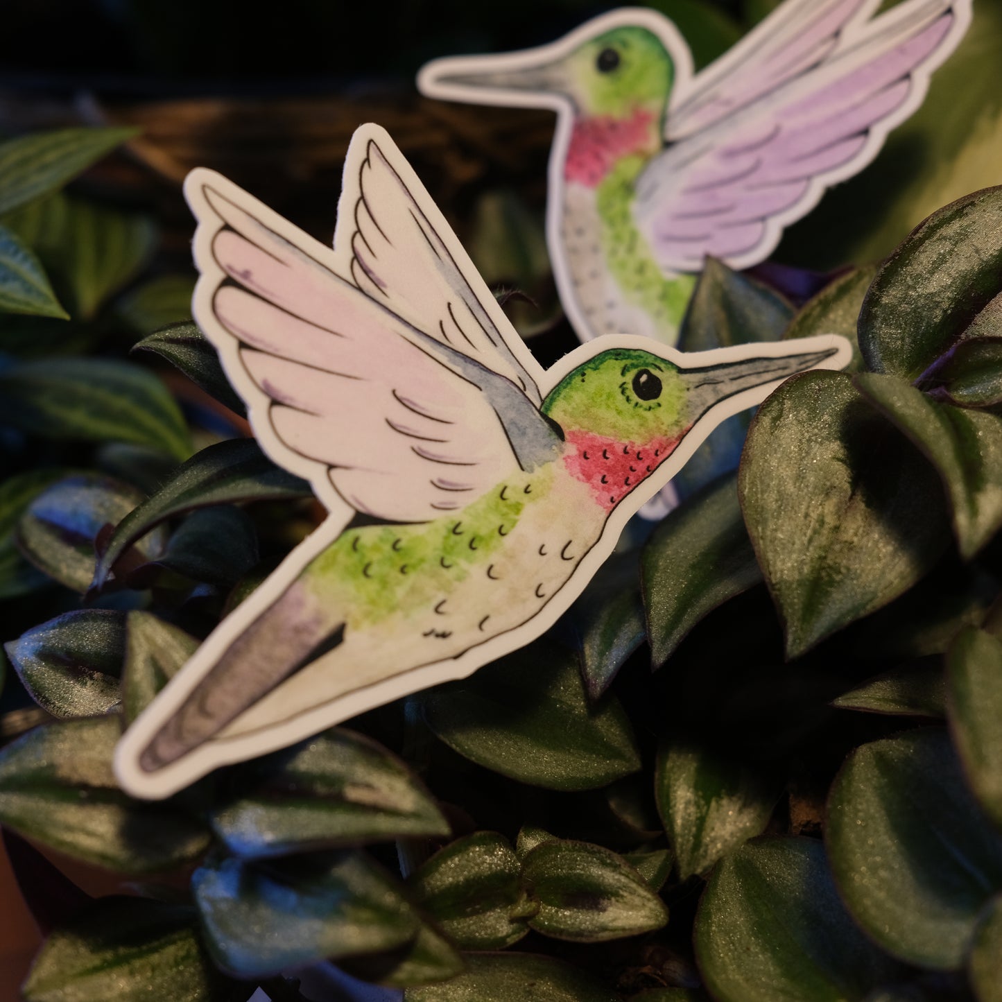 Hummingbird Sticker