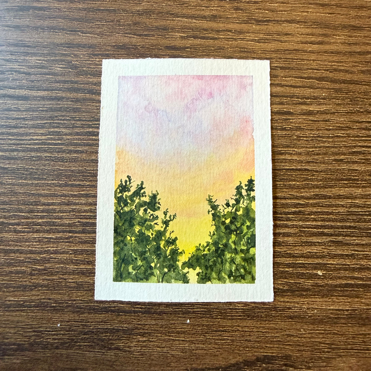 ACEO 027
