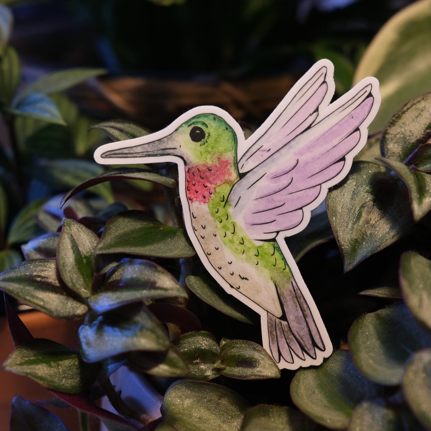 Hummingbird Sticker