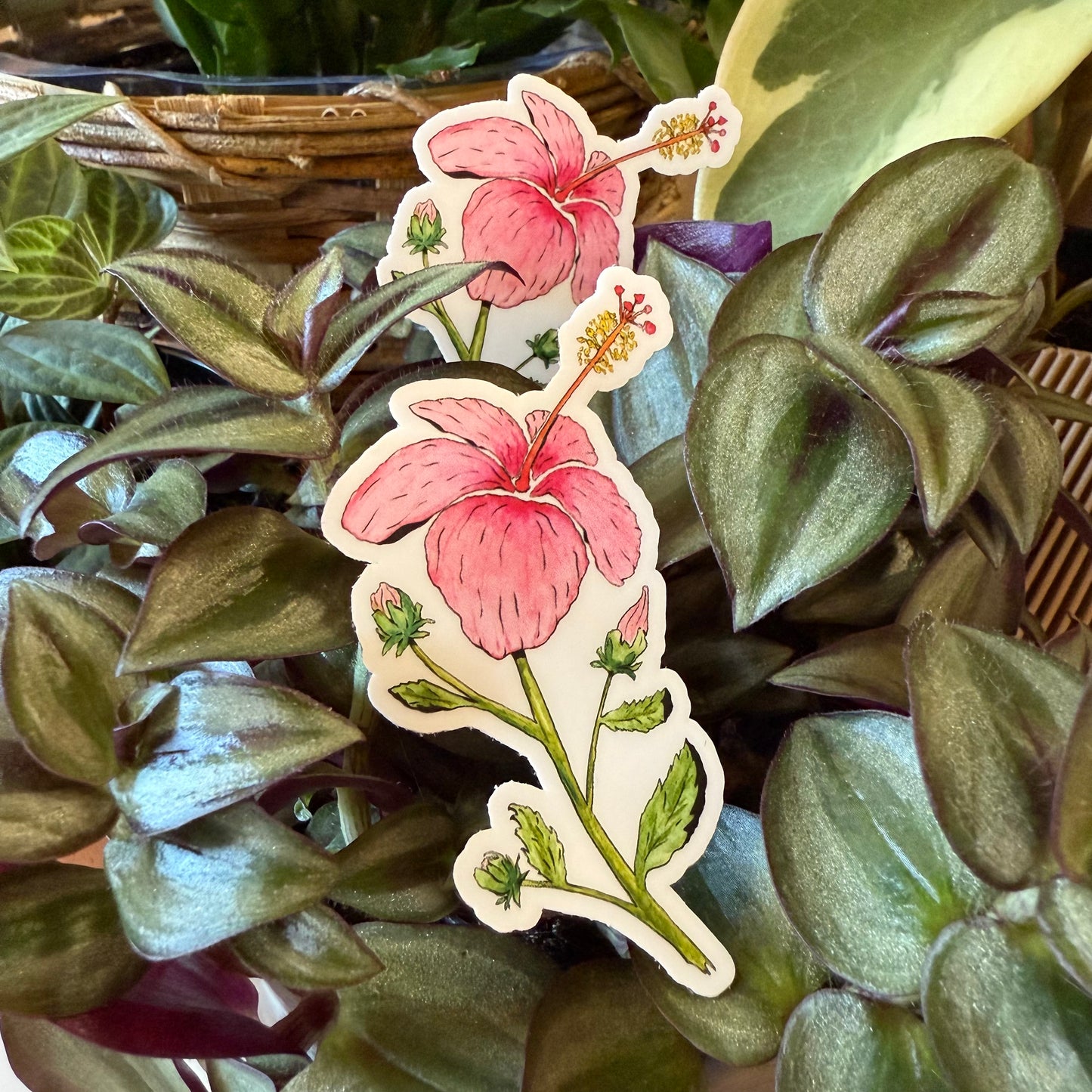 Hibiscus Sticker