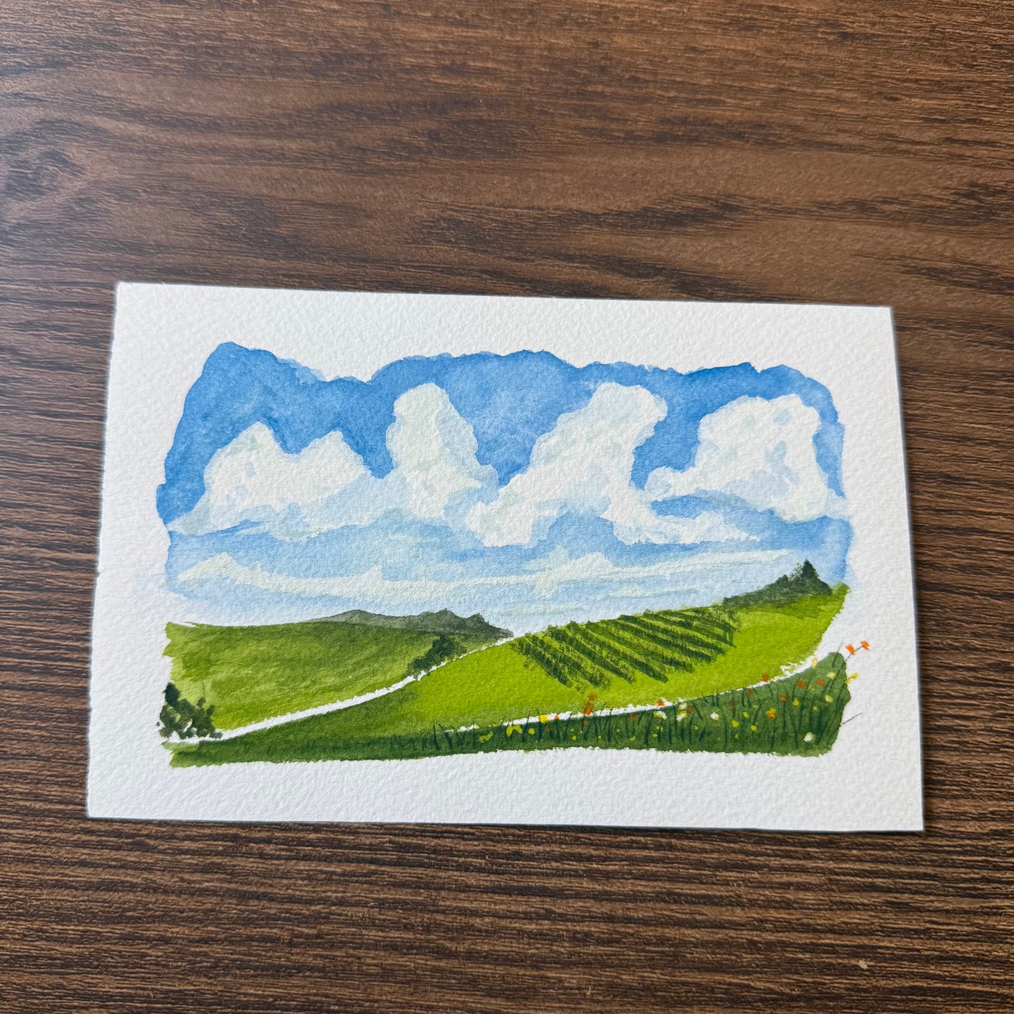 Rolling Hills