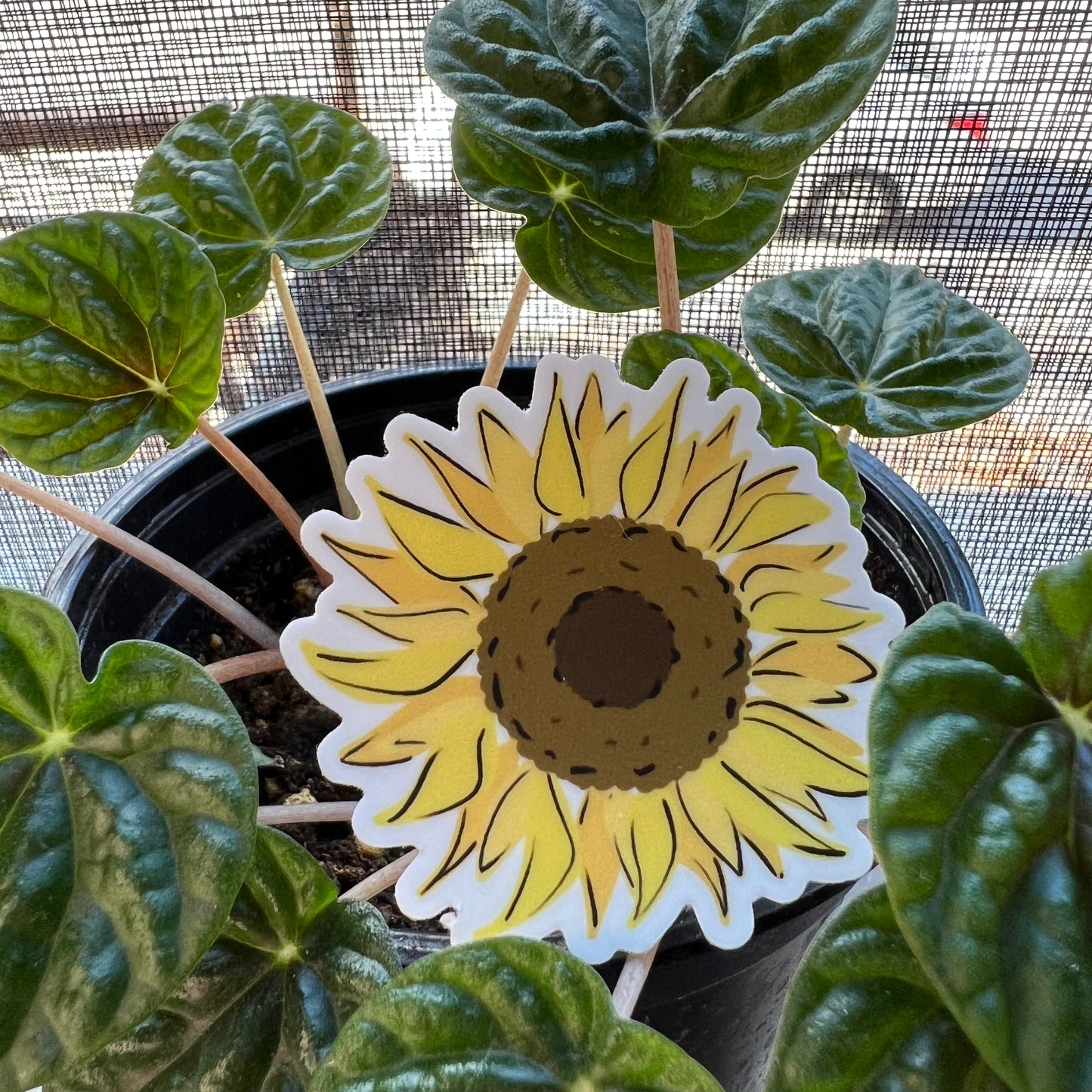 Sunflower Sticker