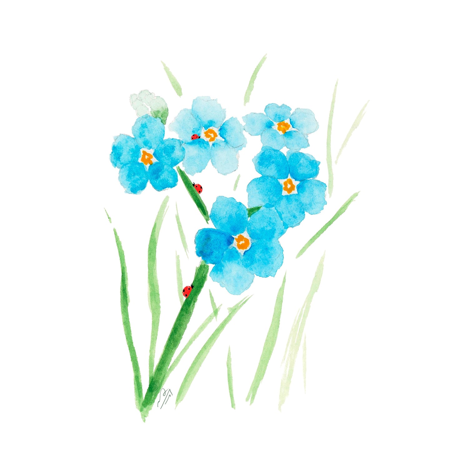 Forget Me Not Card