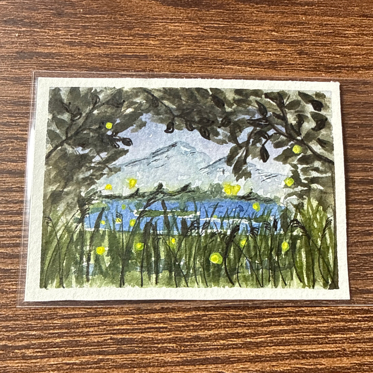 ACEO 017
