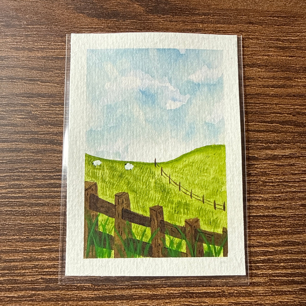 ACEO 016