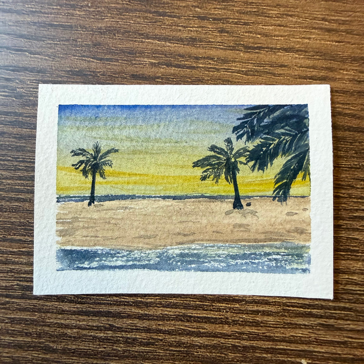 ACEO 028