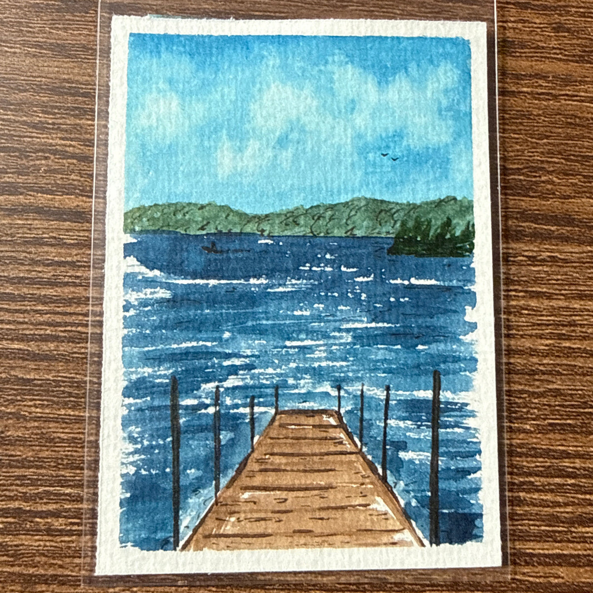 ACEO 020