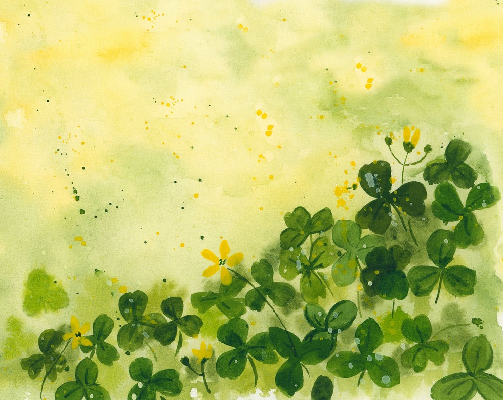 Watercolor painting of clover leaves on a yellow background