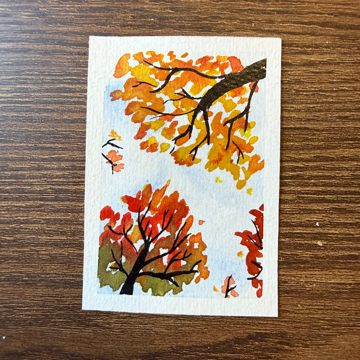 ACEO 024