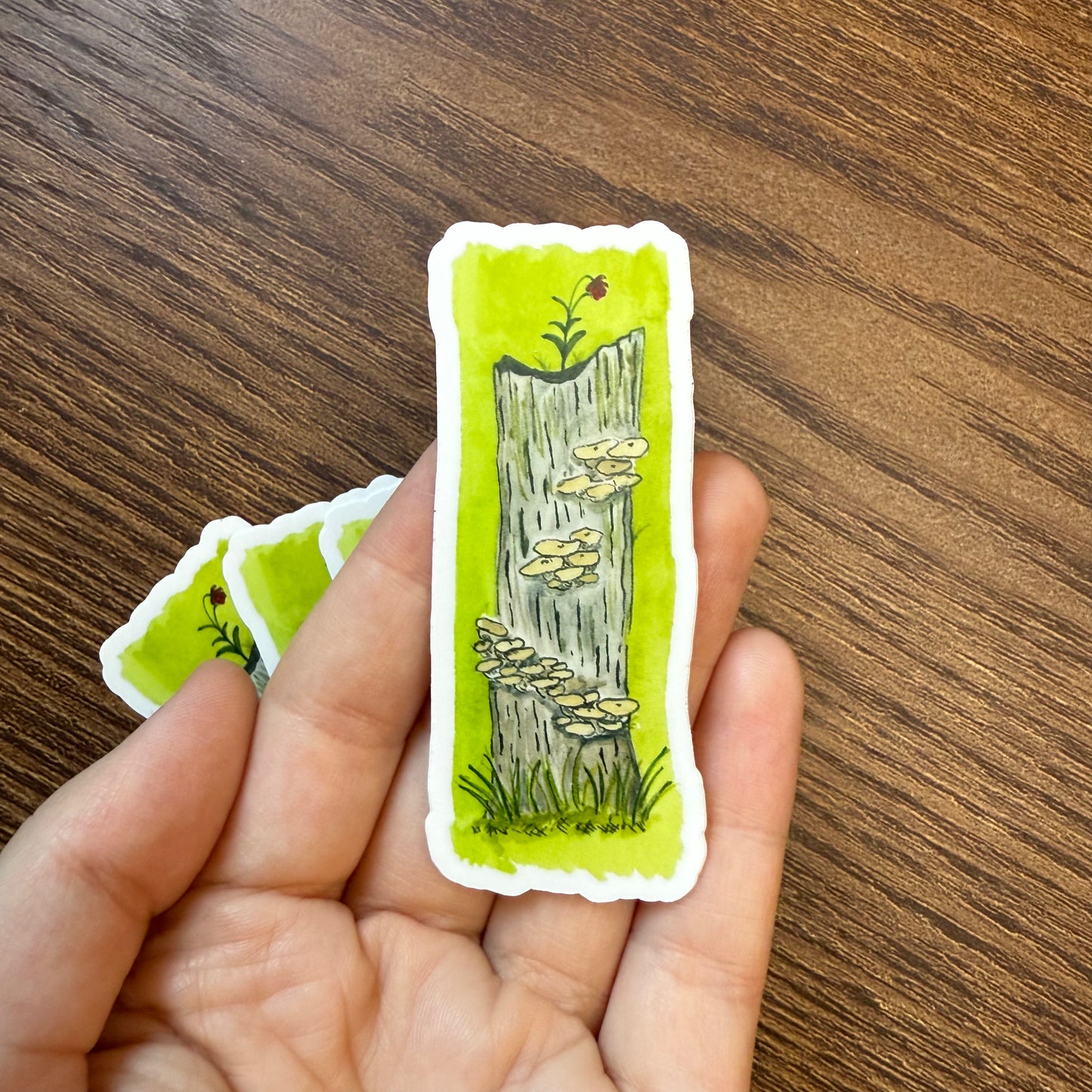Mushroom log