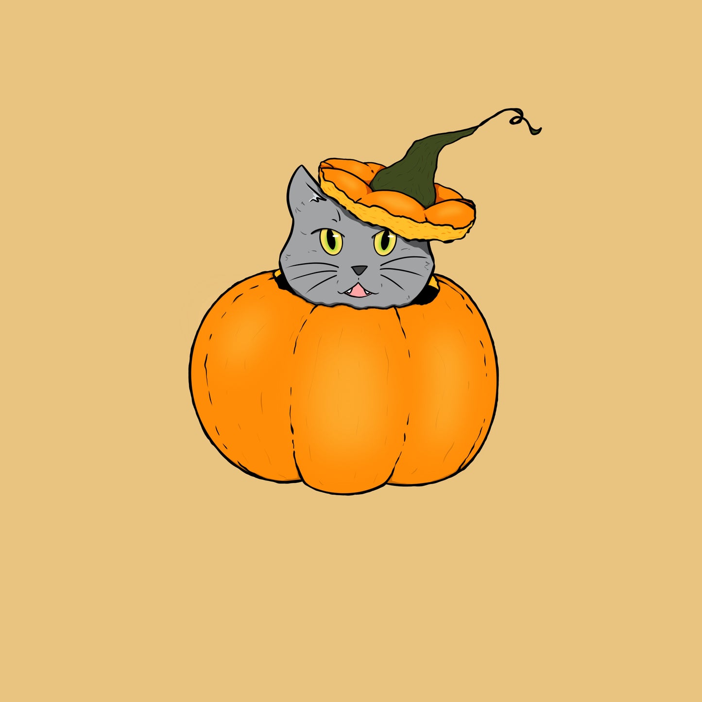 Pumpkin Cat