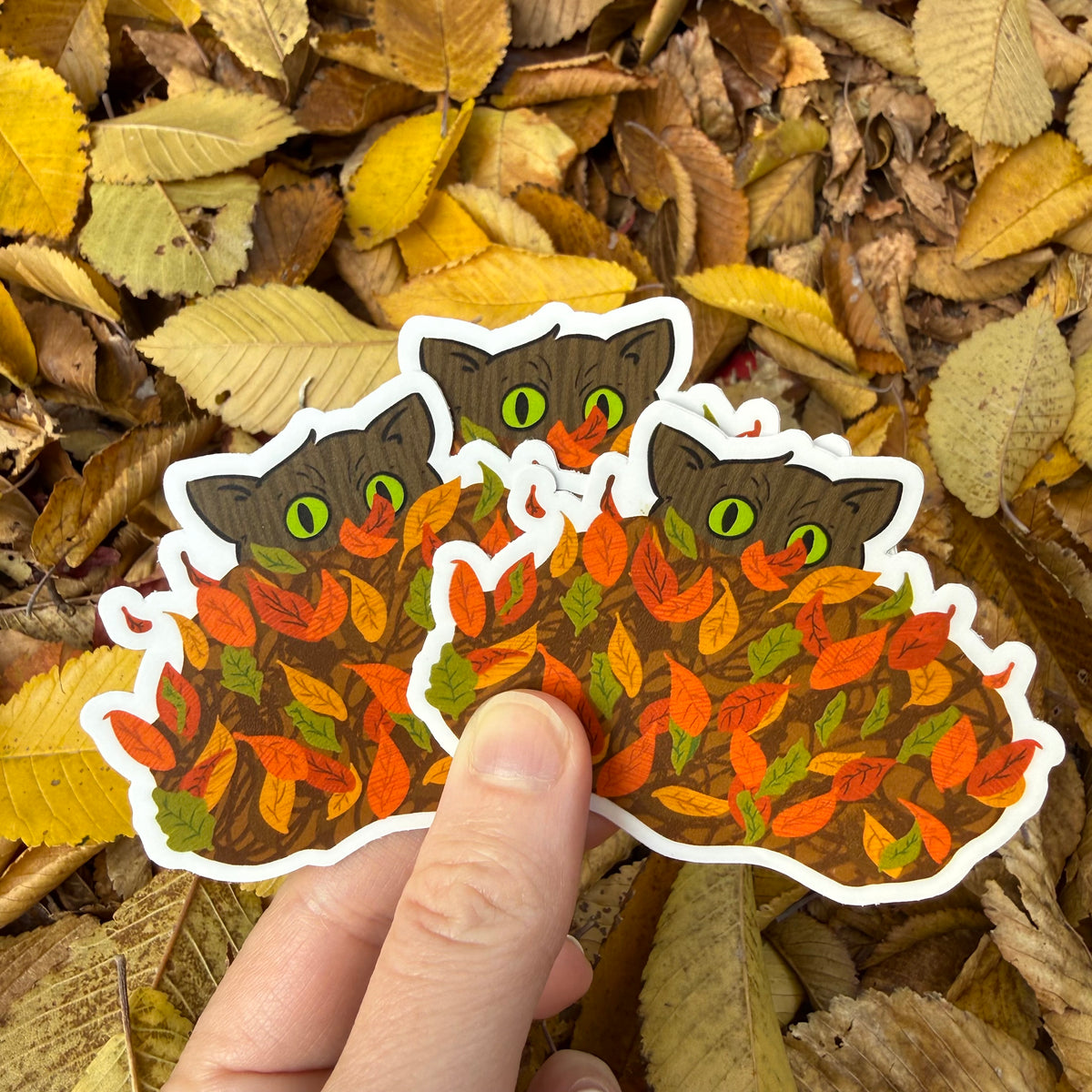 Fall Leaf Cat
